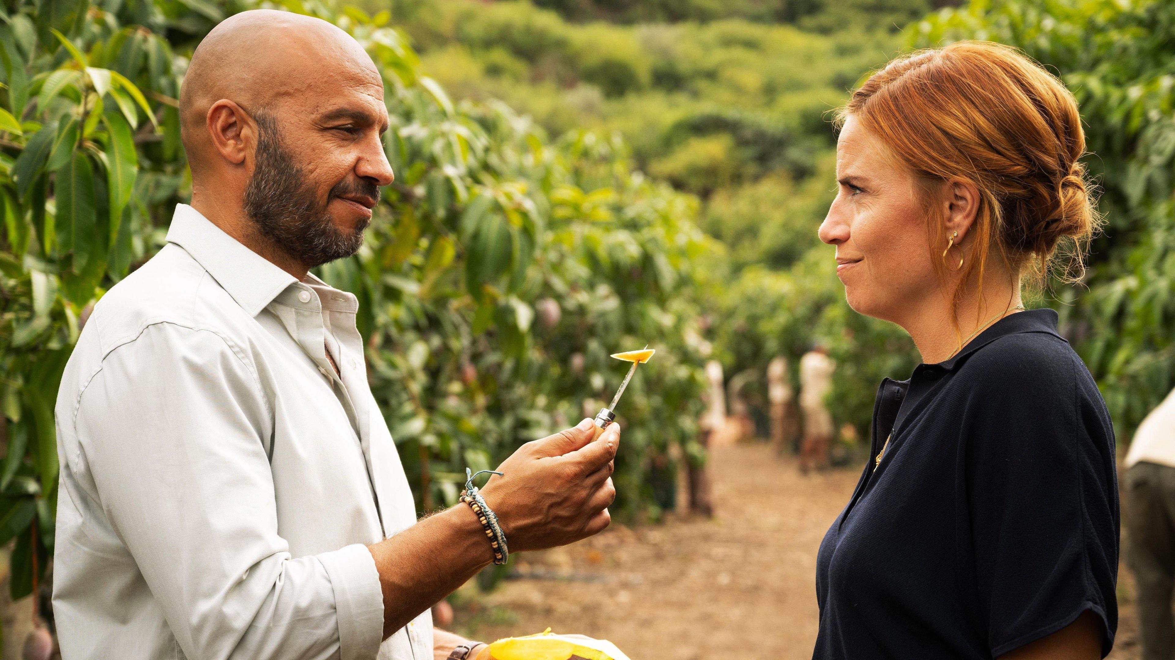 รักนี้เกิดที่สวนมะม่วง