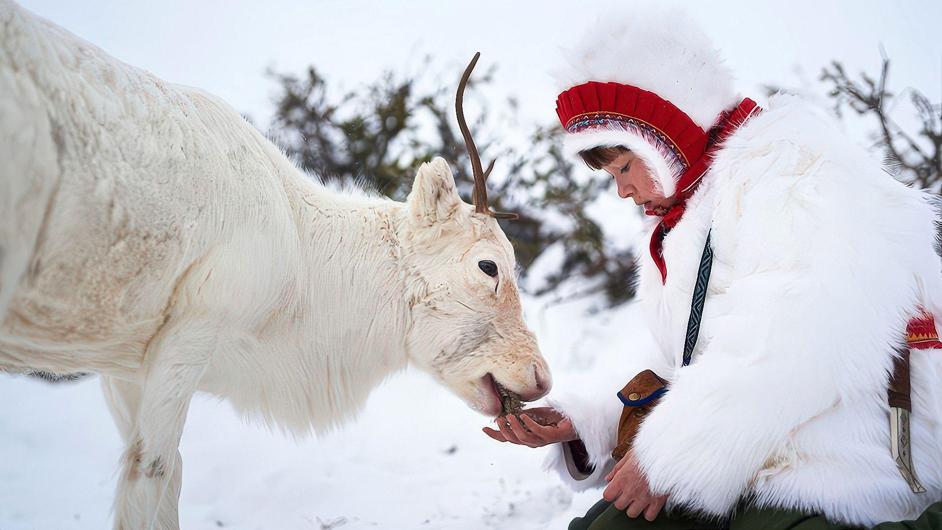 พราก (Stolen)